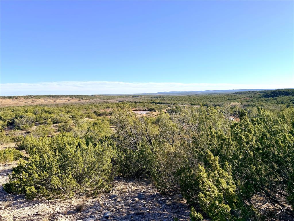 5530 Highway 158 Bronte, TX 76933 - Photo 33 of 40 an aerial view of residential space with green space