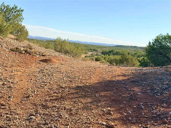 a view of a lake from a yard