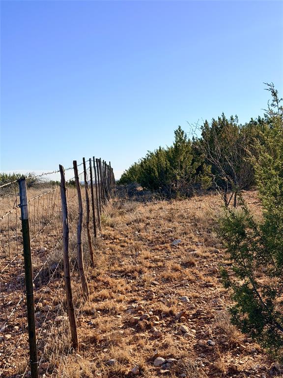 5530 Highway 158 Bronte, TX 76933 - Photo 39 of 40 a view of wooden floor and a lake