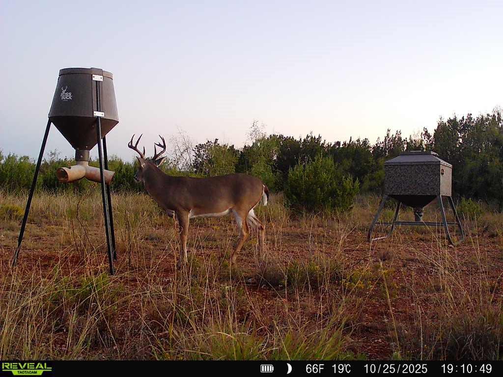 5530 Highway 158 Bronte, TX 76933 - Photo 40 of 40 a backyard of a house with table and chairs