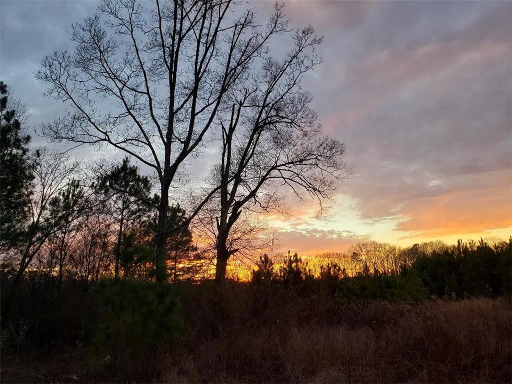 338 Cliff Nelson Road Kingston, GA 30145 - Photo 1 of 1 Gallery Image 1