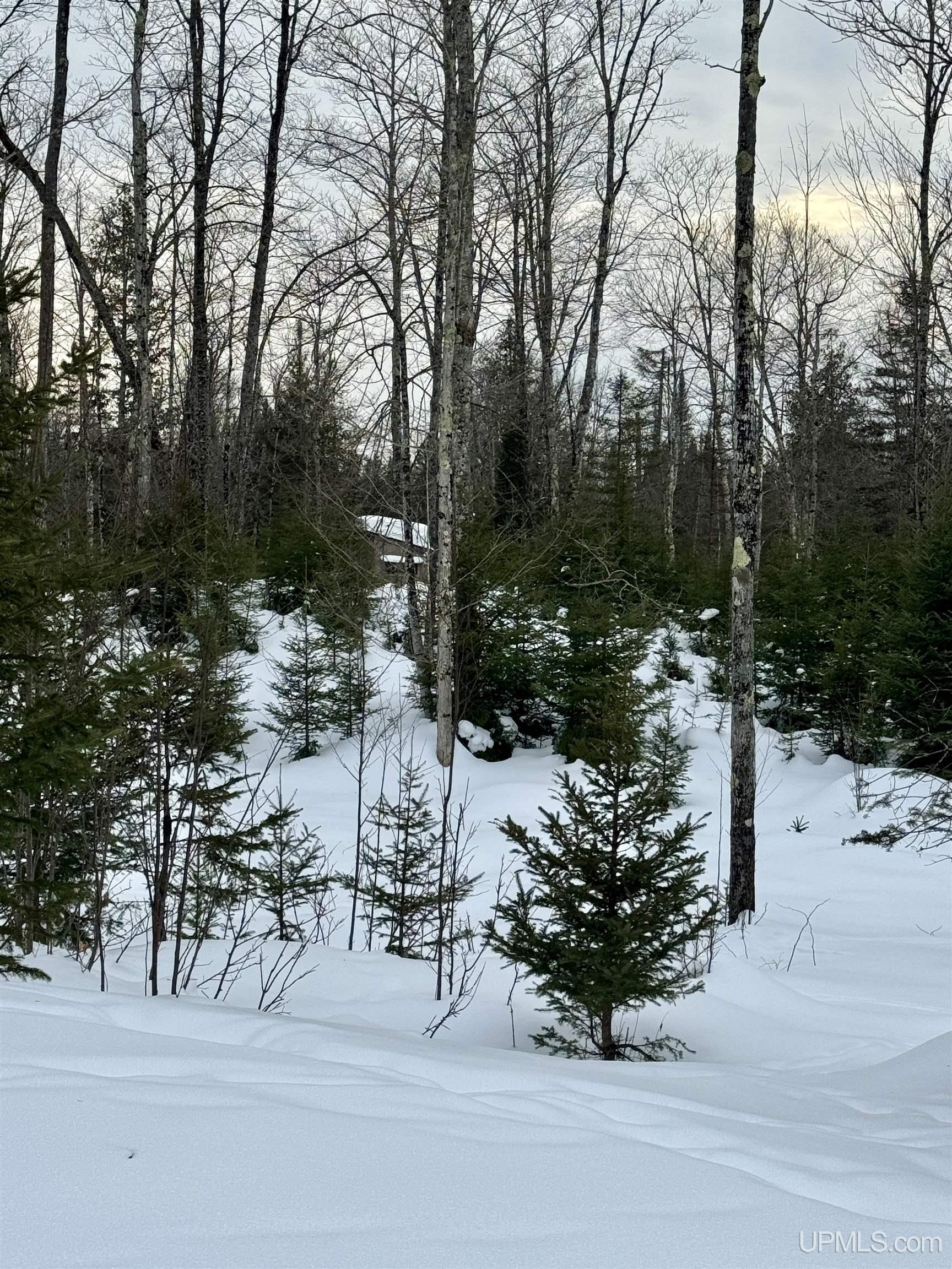 7140 Osier 40th Road Rapid River, MI 49878 - Photo 10 of 22