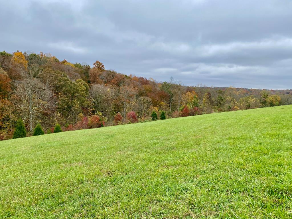 235 Casey Creek Road Knifley, KY 42753 - Photo 1 of 1 Gallery Image 1