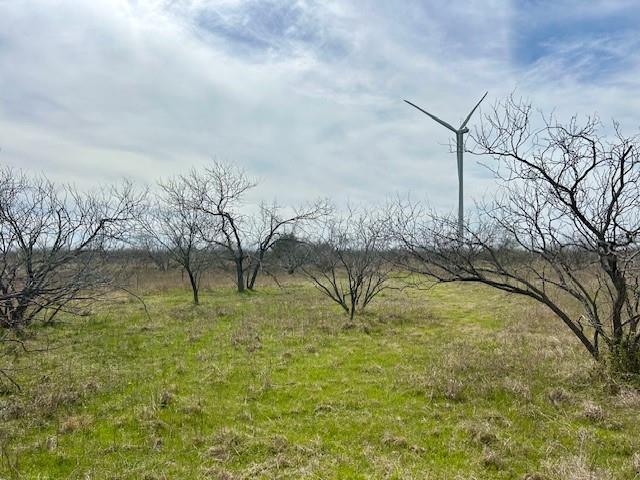 4260 Southwest 4260 Dawson, TX 76639 - Photo 5 of 6 a view of a yard