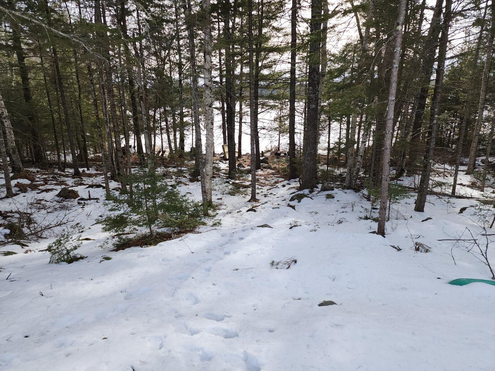 Lot 11 Birch Point Road Cooper, ME 04657 - Photo 15 of 21 20230313_160719