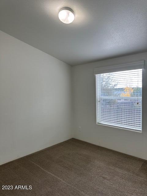 8021 Stallion Road Payson, AZ 85541 - Photo 14 of 27 IMG_3117