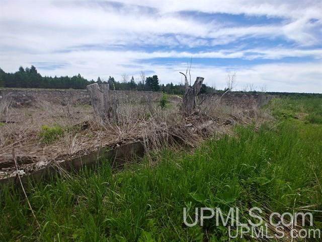 40-acres Davidson Road Manistique, MI 49854 - Photo 2 of 30 Gallery Image 2