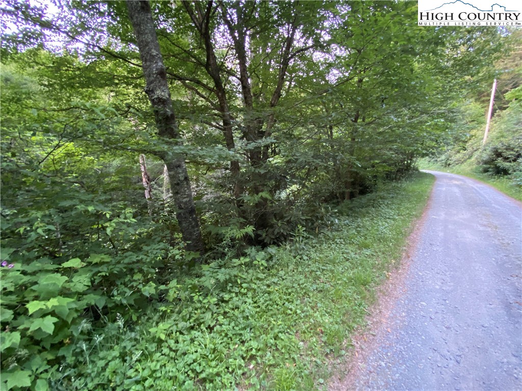 Lot 39 Snow Ridge Road Banner Elk, NC 28604 - Photo 1 of 2 Gallery Image 1