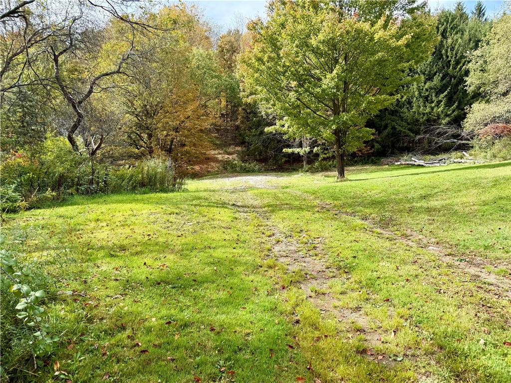 7465 Chappel Road Hamilton, NY 13346 - Photo 5 of 28 Driveway