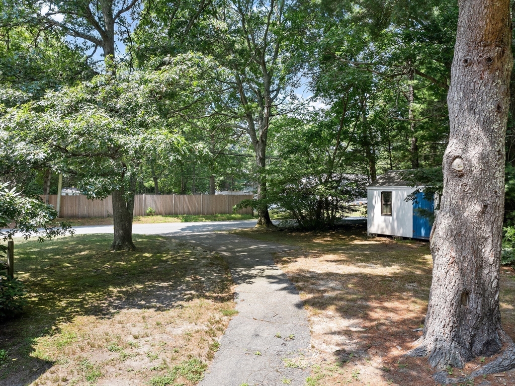 450 Skunknet Road Barnstable, MA 02632 - Photo 39 of 42 a view of a tree in the middle of a yard