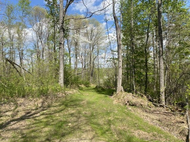 6000 Greenbriar Road Breeding, KY 42715 - Photo 11 of 29 Gallery Image 11