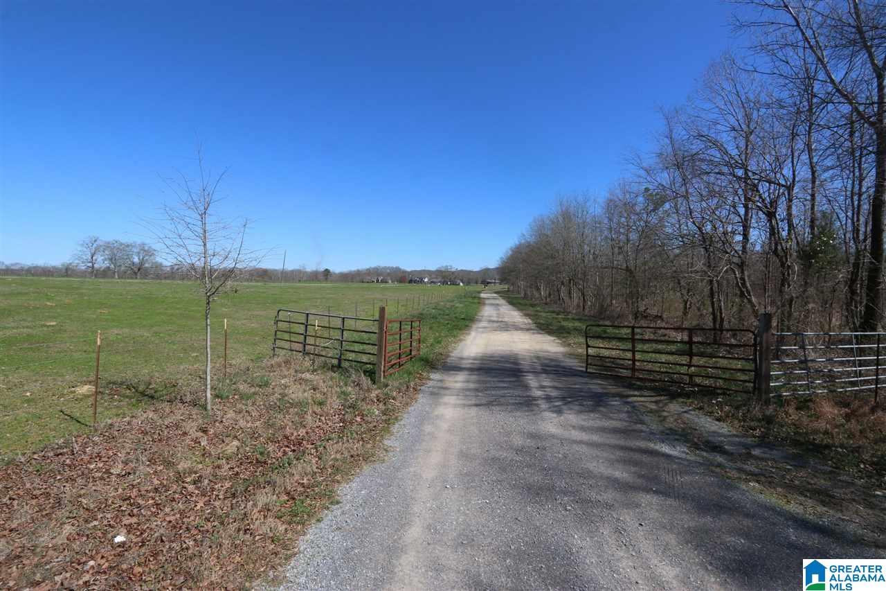 0 Double Bridge Road, Unit 286 Ashville, AL 35953 - Photo 26 of 34