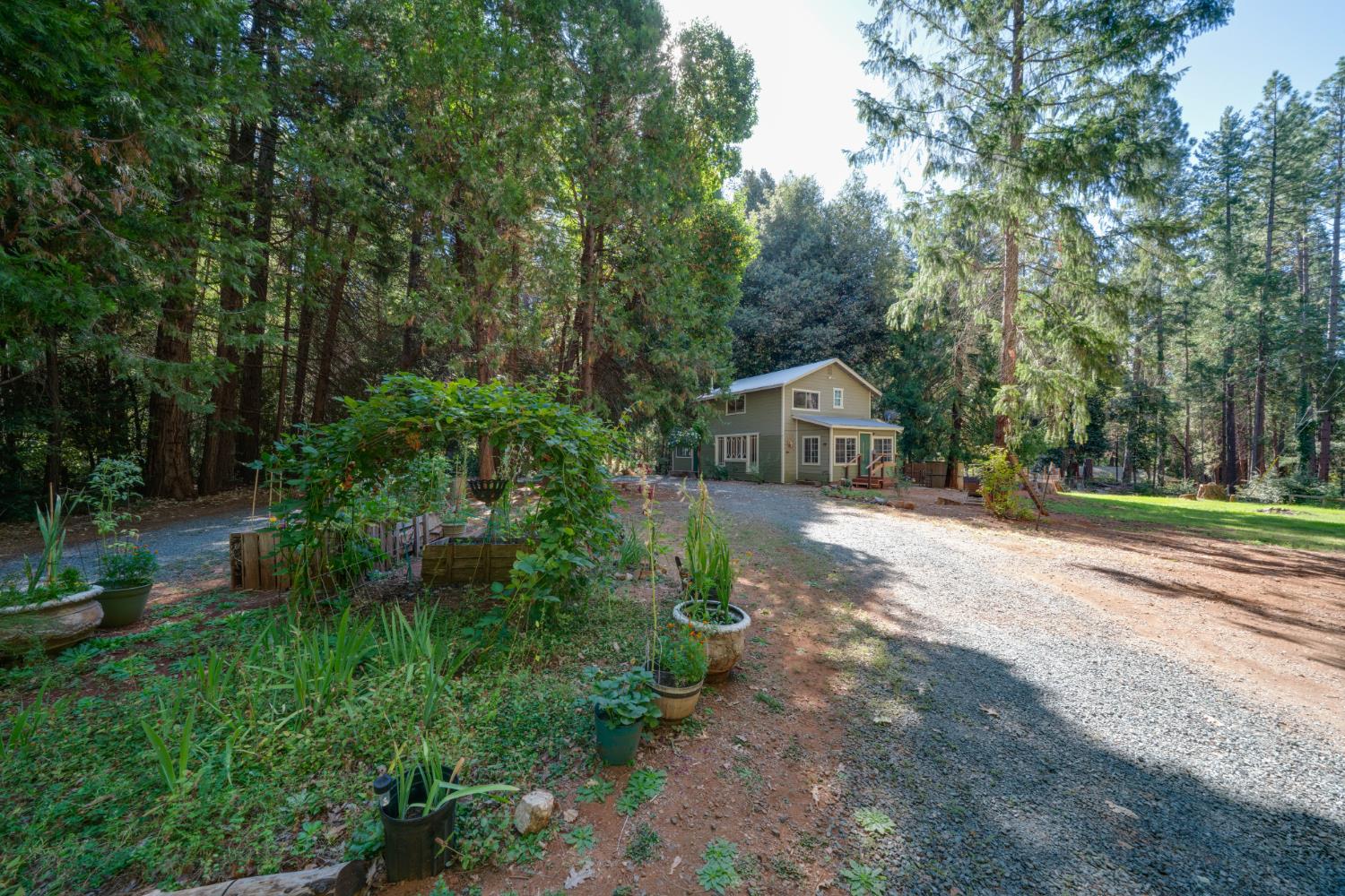 18249 Challenge Cutoff Road Forbestown, CA 95941 - Photo 3 of 50 Gallery Image 3