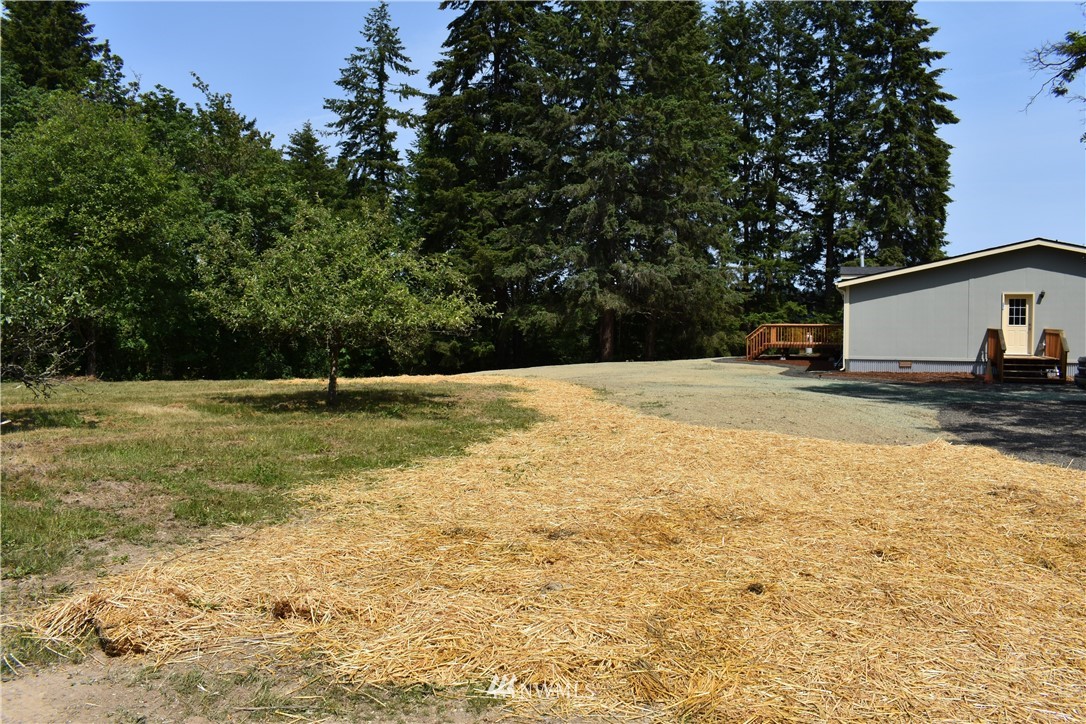 13720 Forsman Road Southeast Olalla, WA 98359 - Photo 18 of 24 Gallery Image 18