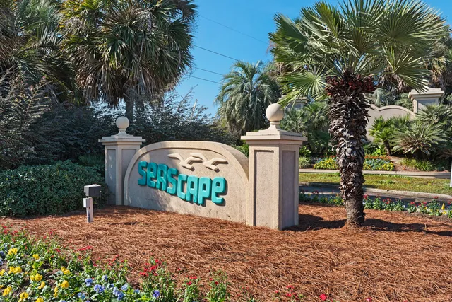a street view with tall trees