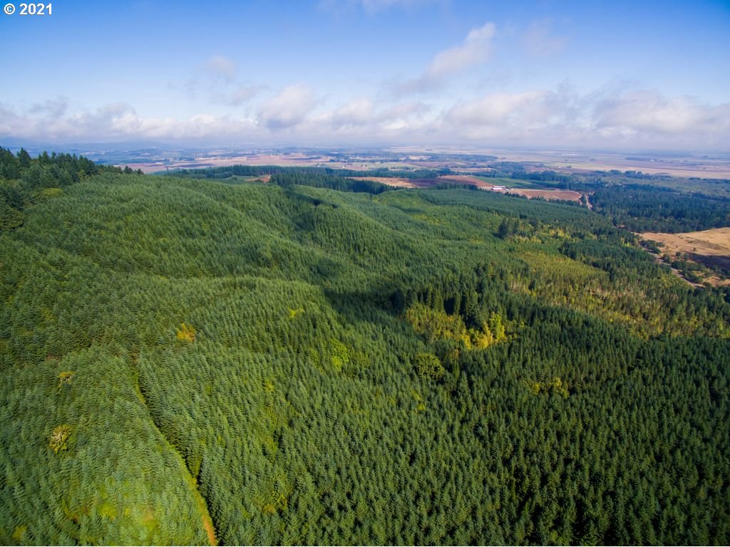 0 Bellfountain Road Corvallis, OR 97333 - Photo 1 of 11 Gallery Image 1