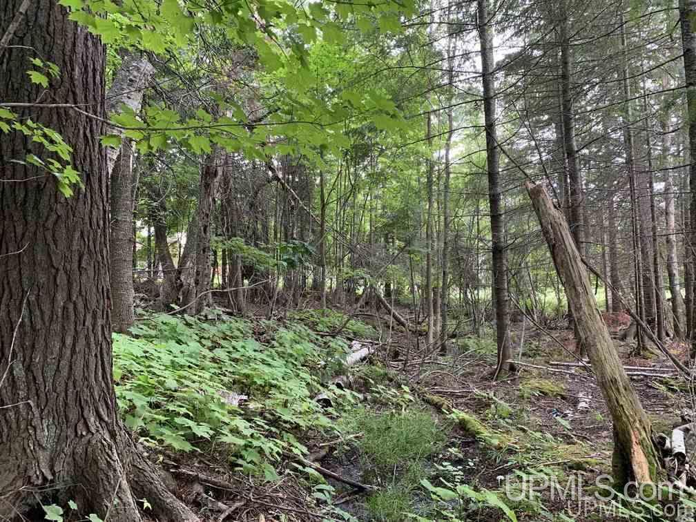 Lot 1 Bayview Road Lanse, MI 49946 - Photo 10 of 27