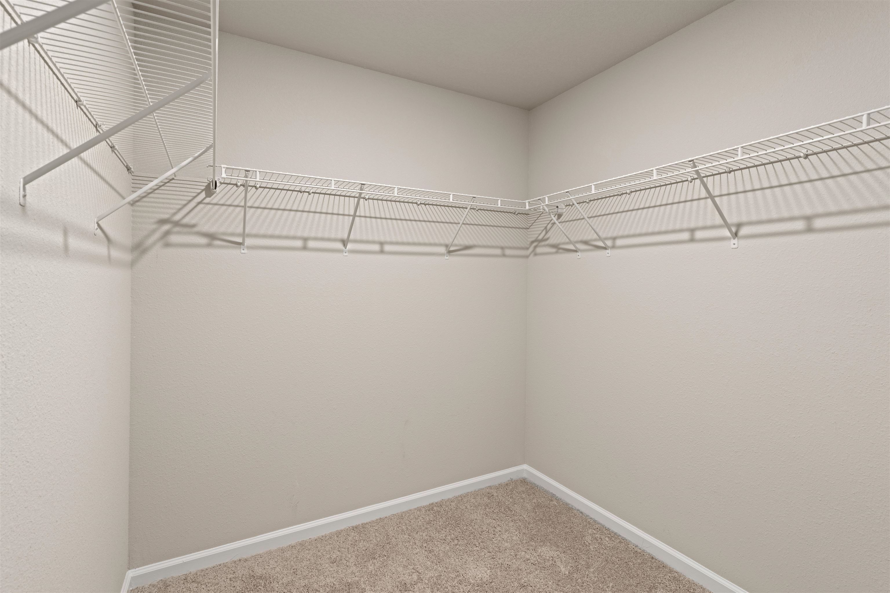 23366 Shadowridge Drive Daphne, AL 36526 - Photo 15 of 25 Walk In Closets