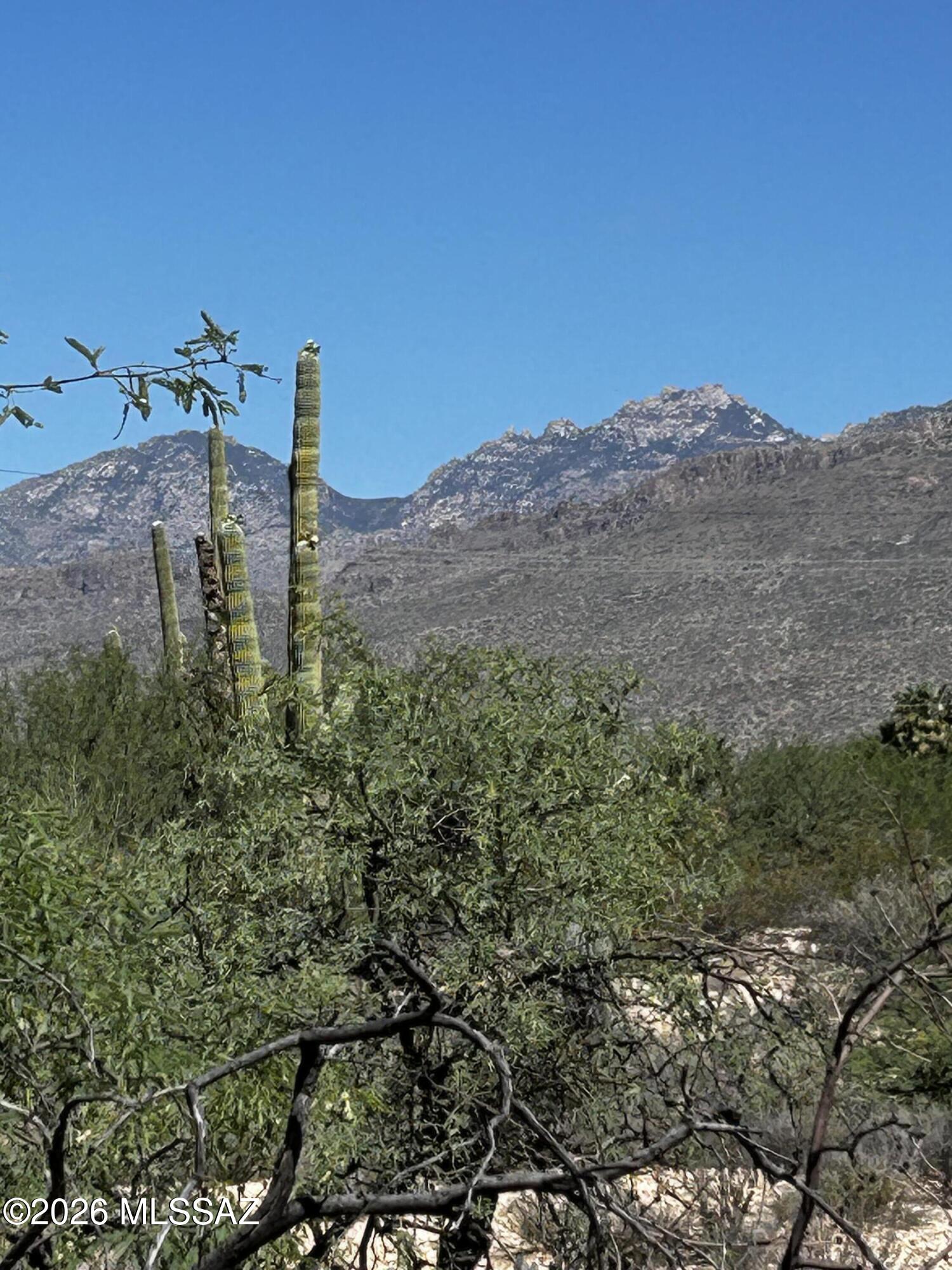 East Roger Road, Unit 46 Tucson, AZ 85749 - Photo 8 of 38