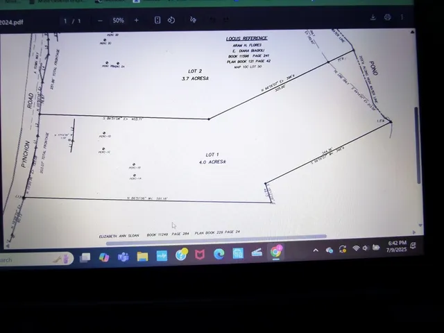 a view of a yard with a trees