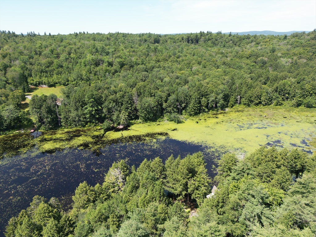 0 Pynchon Road Chesterfield, MA 01012 - Photo 4 of 5 a view of a yard with a trees