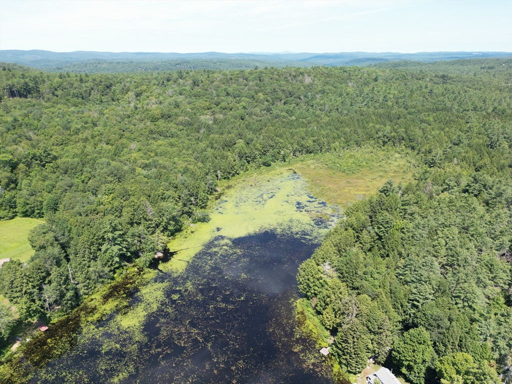 0 Pynchon Road Chesterfield, MA 01012 - Photo 5 of 5 a view of a lake with a yard
