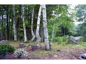 14 Jowders Cove Road Rindge, NH 03461 - Photo 9 of 9