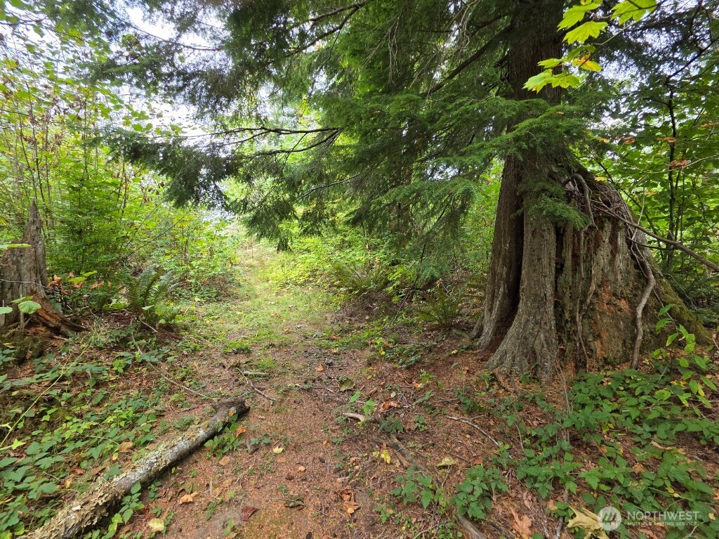 1206 Croft Avenue Gold Bar, WA 98251 - Photo 11 of 22