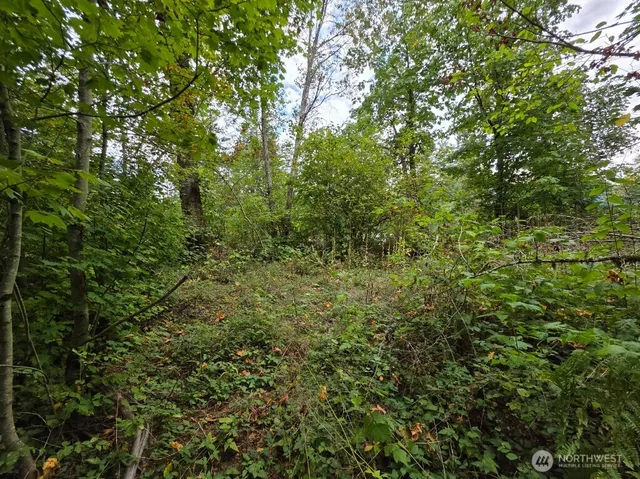 $279,999 | 1206 Croft Avenue, Gold Bar, WA 98251