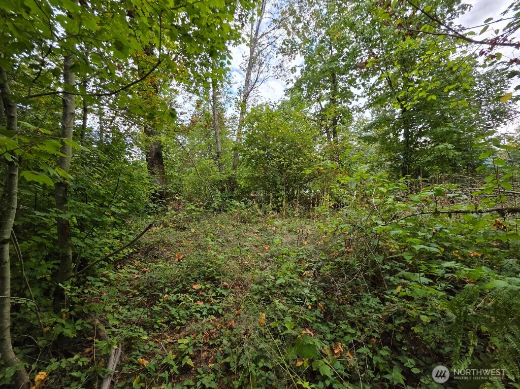 1206 Croft Avenue Gold Bar, WA 98251 - Photo 12 of 22