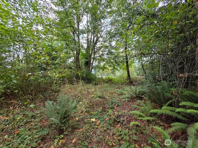 $279,999 | 1206 Croft Avenue, Gold Bar, WA 98251