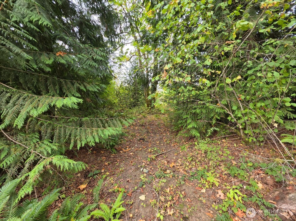 1206 Croft Avenue Gold Bar, WA 98251 - Photo 14 of 22