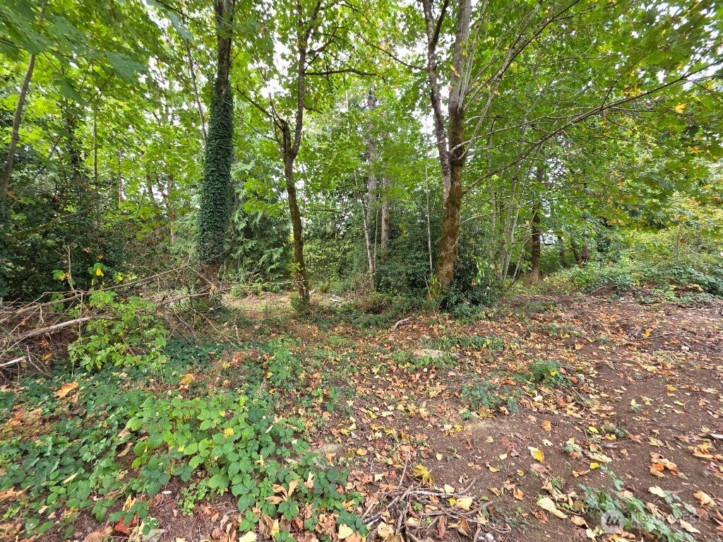 1206 Croft Avenue Gold Bar, WA 98251 - Photo 15 of 22