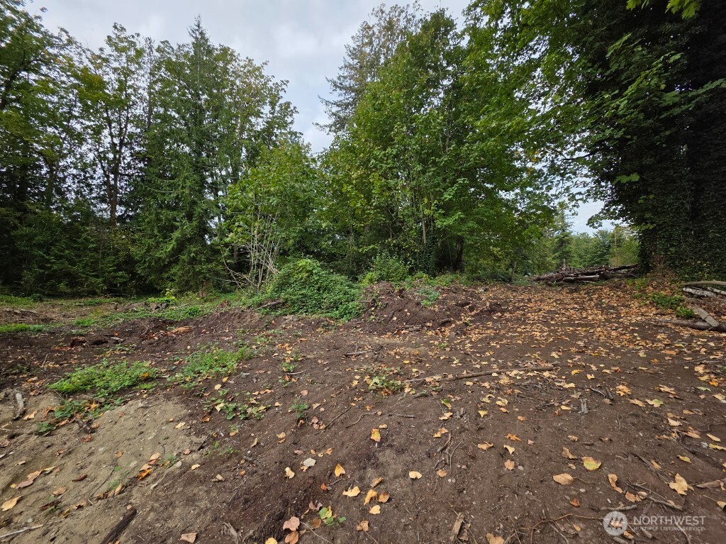 1206 Croft Avenue Gold Bar, WA 98251 - Photo 16 of 22