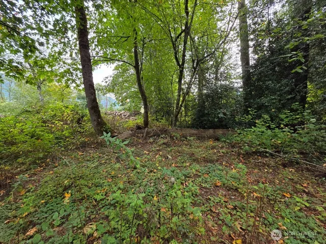 $279,999 | 1206 Croft Avenue, Gold Bar, WA 98251