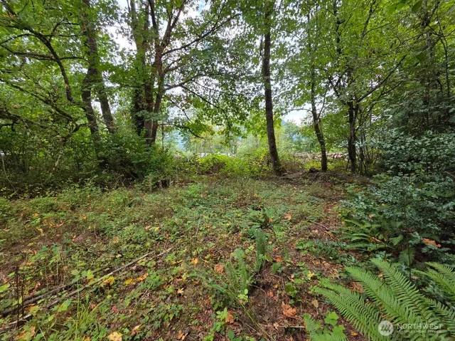 $279,999 | 1206 Croft Avenue, Gold Bar, WA 98251