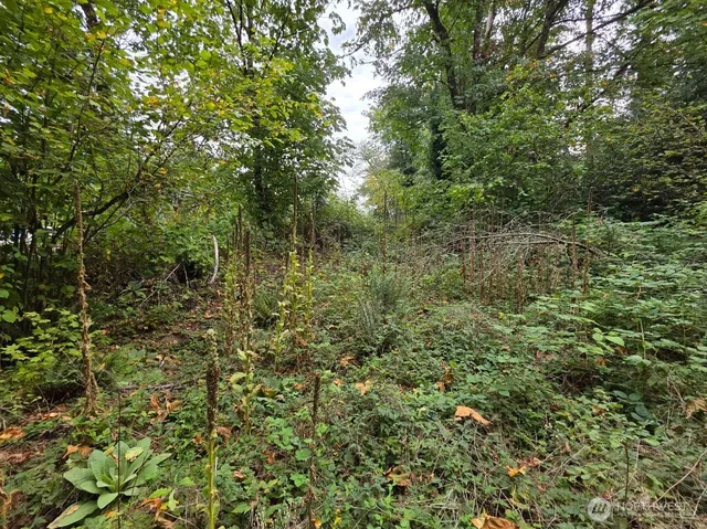 $279,999 | 1206 Croft Avenue, Gold Bar, WA 98251