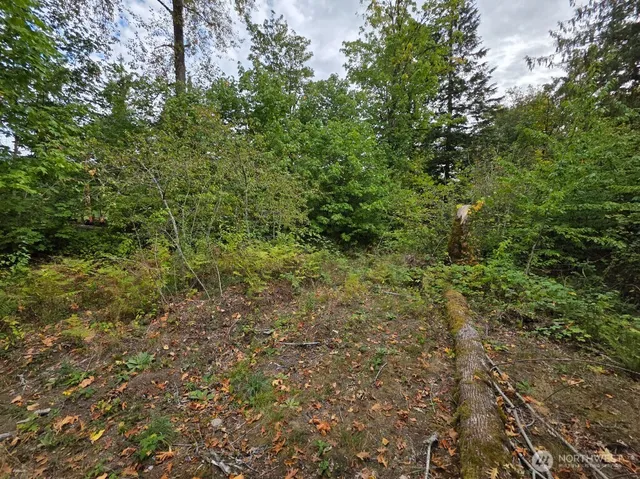 $279,999 | 1206 Croft Avenue, Gold Bar, WA 98251