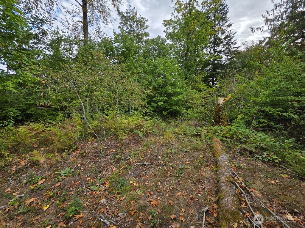 1206 Croft Avenue Gold Bar, WA 98251 - Photo 6 of 22