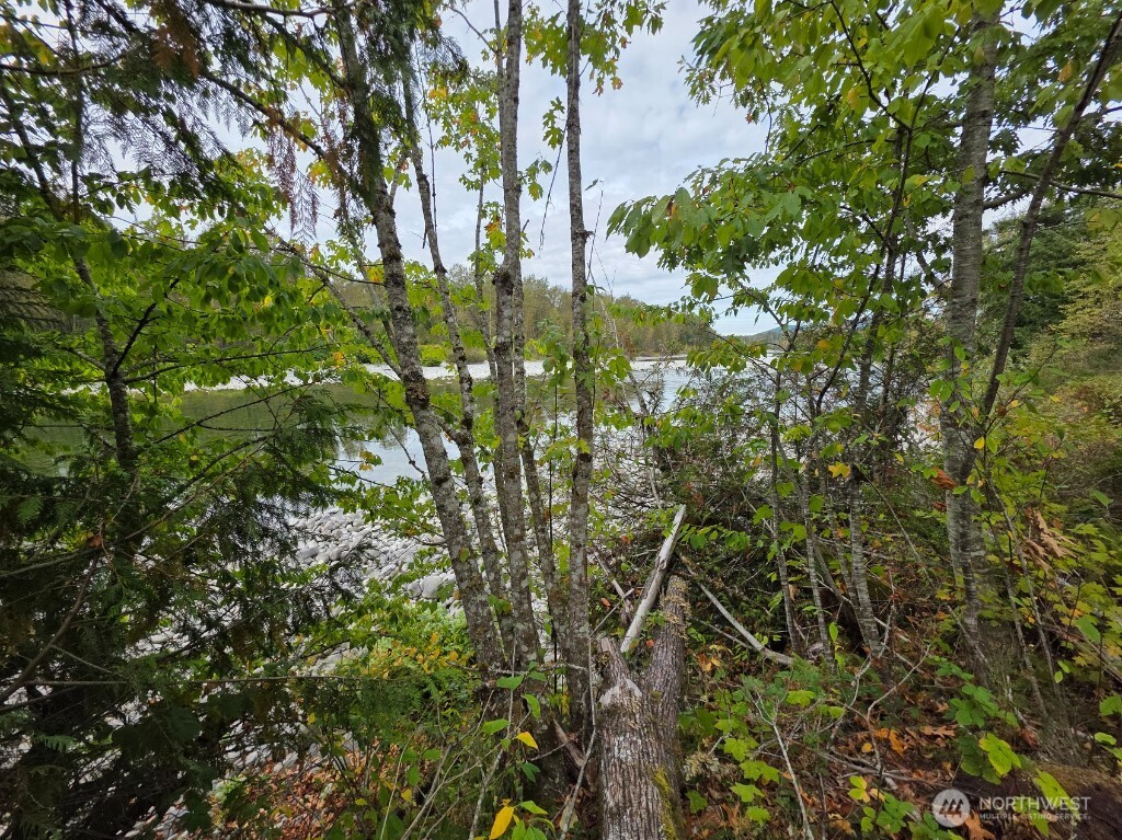 1206 Croft Avenue Gold Bar, WA 98251 - Photo 8 of 22