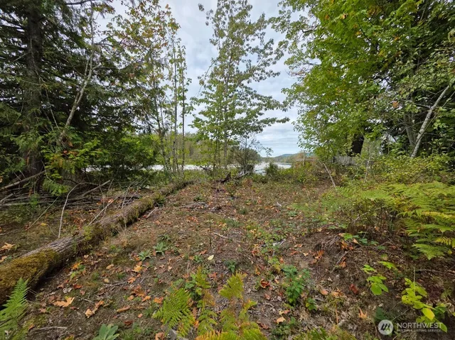 $279,999 | 1206 Croft Avenue, Gold Bar, WA 98251