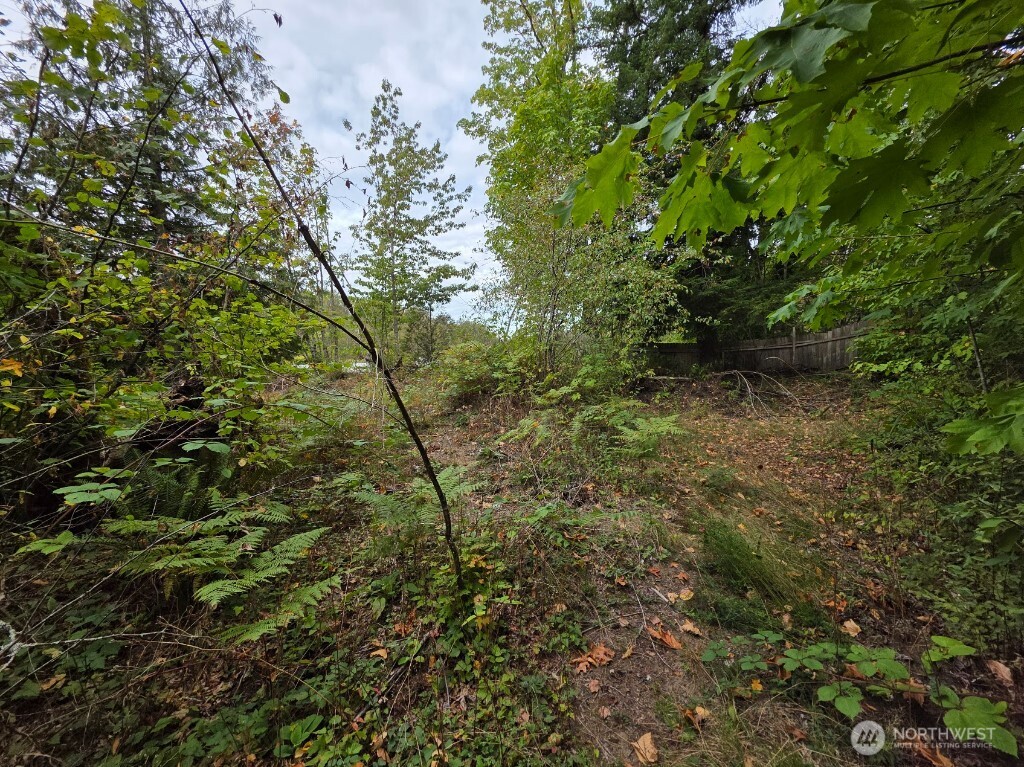 1206 Croft Avenue Gold Bar, WA 98251 - Photo 10 of 22