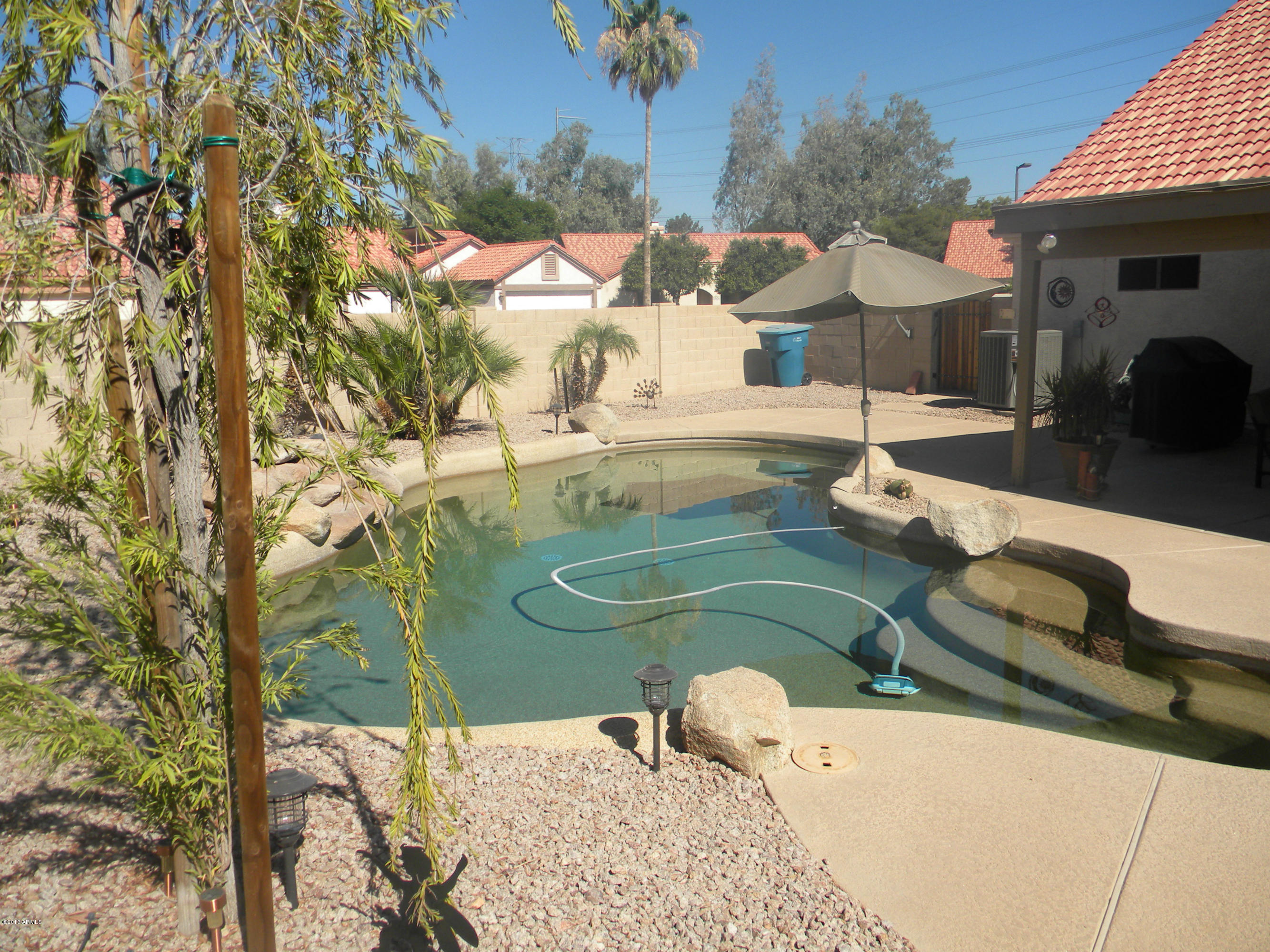 1326 East Mineral Road Gilbert, AZ 85234 - Photo 26 of 29 pebble tech pool