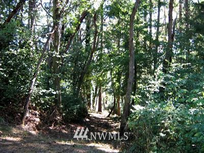 197-xx Ridge Road Southwest Vashon, WA 98070 - Photo 4 of 6 Gallery Image 4
