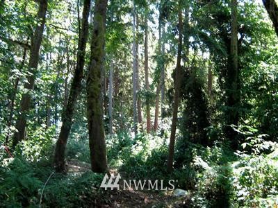 197-xx Ridge Road Southwest Vashon, WA 98070 - Photo 5 of 6 Gallery Image 5