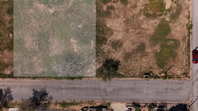 a view of a dry yard with trees