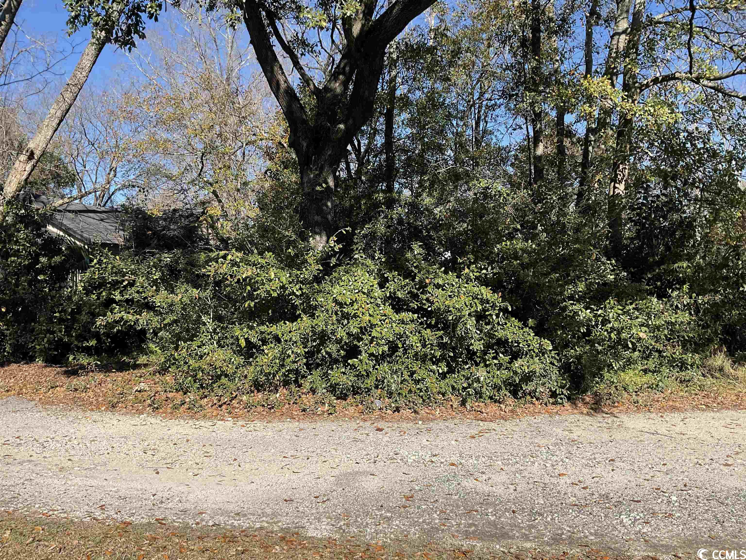 Tbd Fraser Alley Georgetown, SC 29440 - Photo 2 of 4 Gallery Image 2