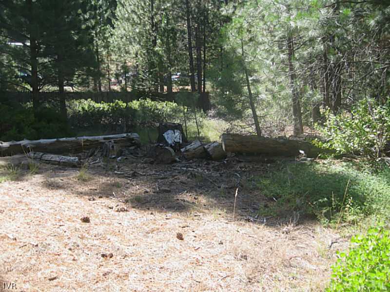 136 Tramway Road Incline Village, NV 89451 - Photo 8 of 15 Yard/Garden.