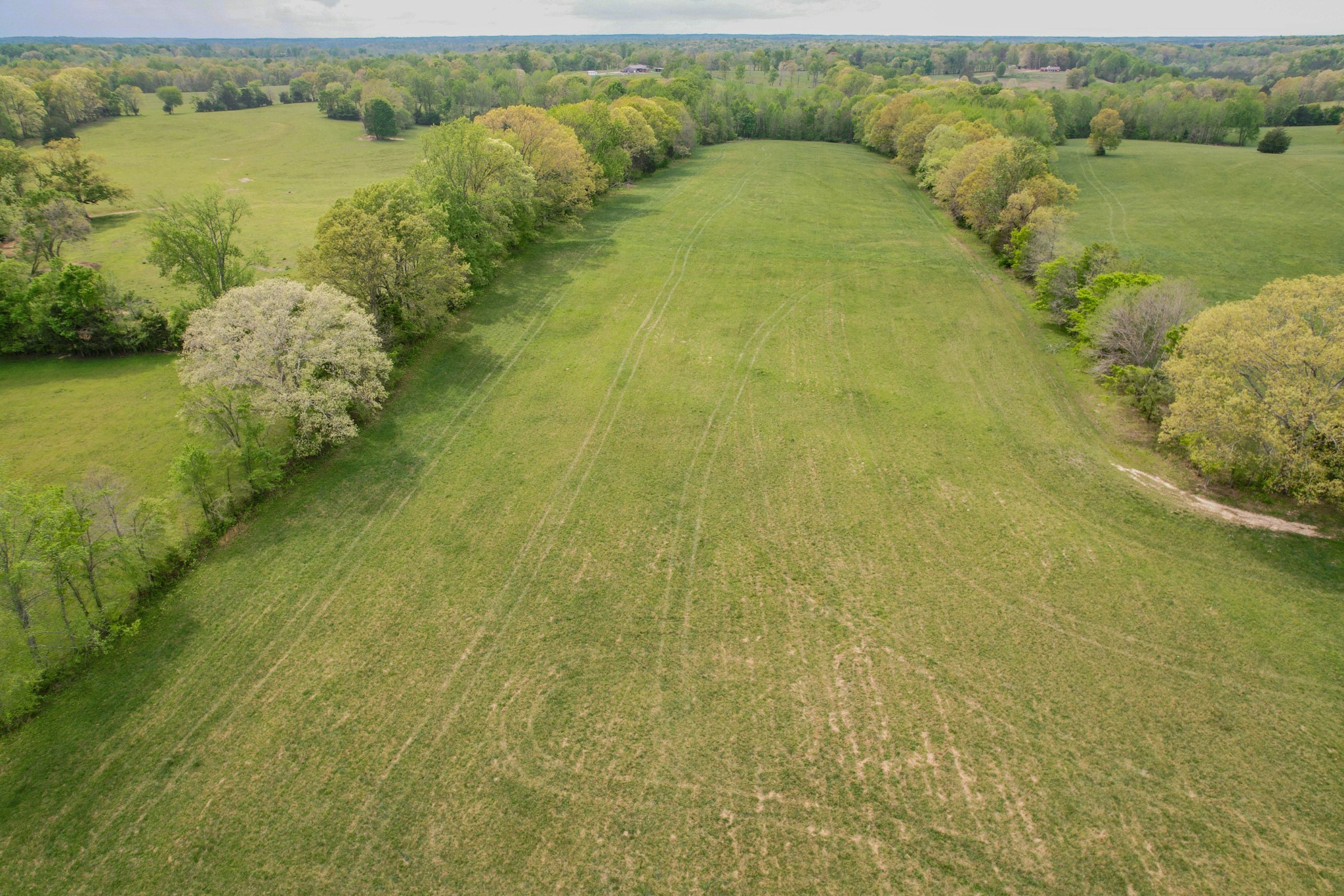 0 Puncheon Branch Road Minor Hill, TN 38473 - Photo 1 of 1