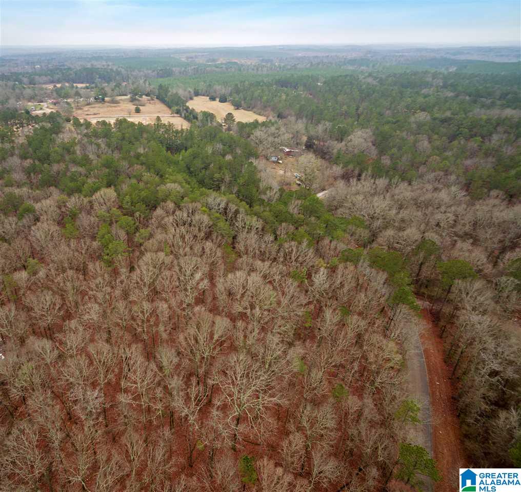 0 Clay Pit Road, Unit 7 AACRES ON CLAY PIT ROAD Montevallo, AL 35115 - Photo 4 of 7